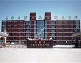 同类内容