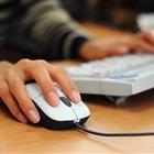 本站按公开材料组织页面