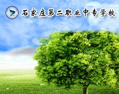 可按栏目继续浏览相关条目