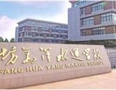 同类内容