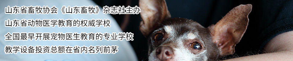 以下内容与「利博电竞中文官网最新优惠