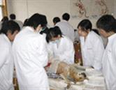 可按栏目继续浏览相关条目