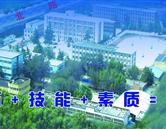 同类内容两者都保留在站内即可形成完整